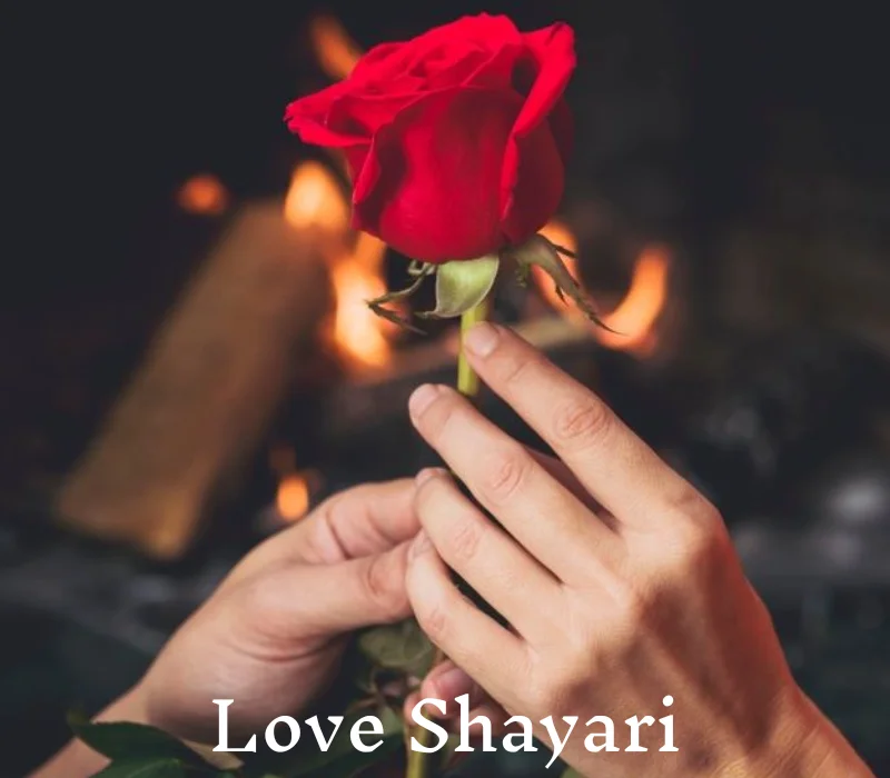 Love Shayari