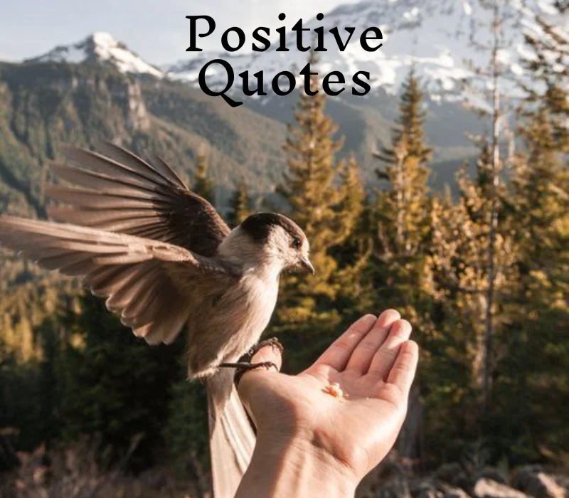 Positive Quotes