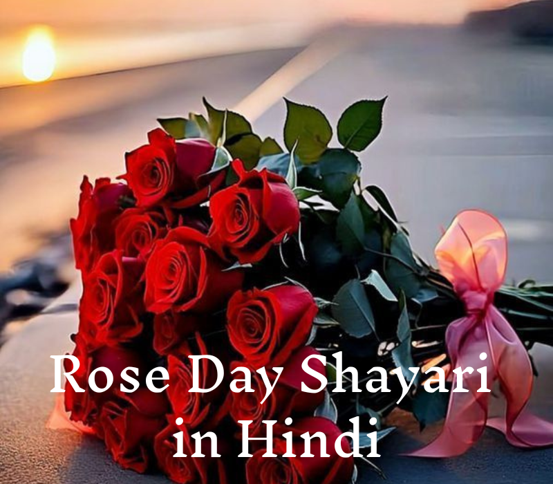 Rose Day Shayari