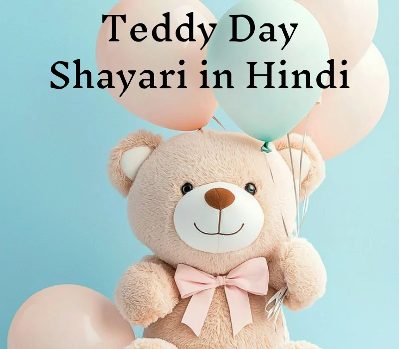 Teddy Day Shayari