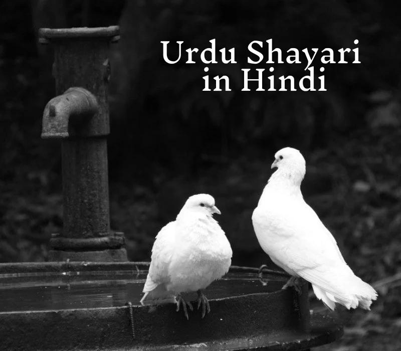 Urdu Shayari in Hindi