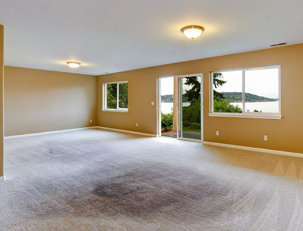 How Often Should You Schedule Carpet Cleaning in NYC?