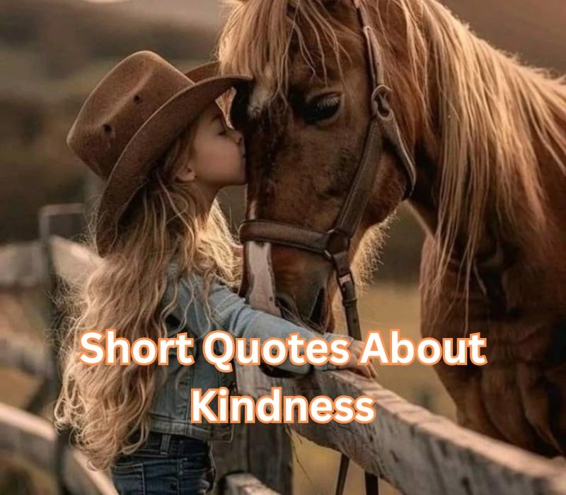 30+ Best Short Quotes About Kindness for your Life