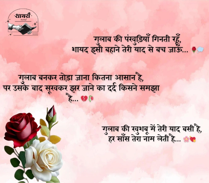 Gulab Shayari
