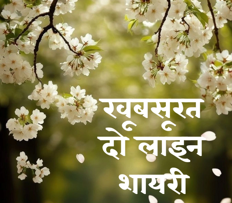 30+ Best खूबसूरत दो लाइन शायरी हिंदी में