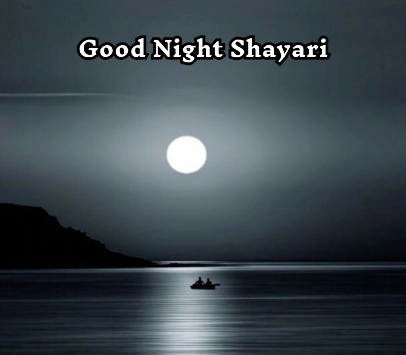 30+ Best Good Night Shayari in Hindi