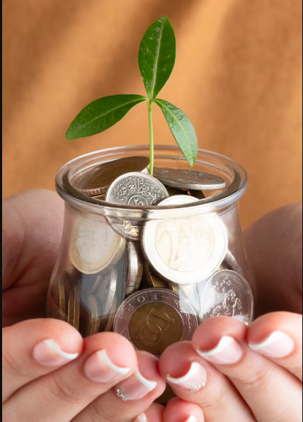 Understanding and Making the Most of Nonprofit: Unlocking Financial Growth