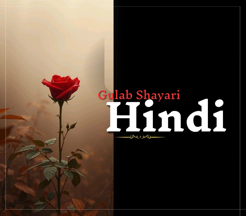 35+ Best Gulab Shayari 2 Lines Hindi | गुलाब शायरी – Shayari Path