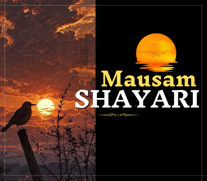 30+ Best Mausam Shayari | मौसम शायरी – Shayaripath.com
