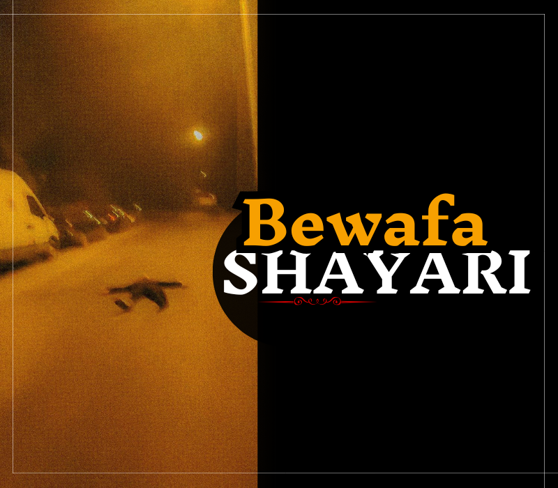 30+ Best Bewafa Shayari | Shayari Path