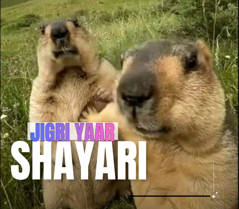 30+ Best Jigri Yaar Shayari | जिगरी यार शायरी